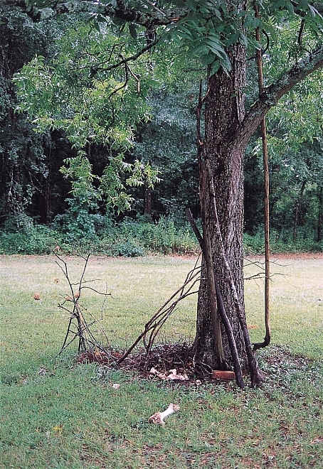 DY - Variation on tree ornamentation (1999) - Master Image