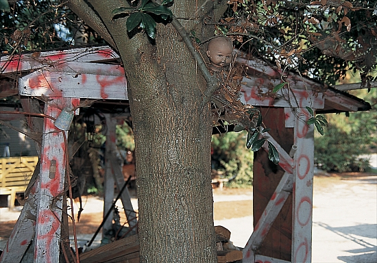OG - Shed and tree outside office - Master Image