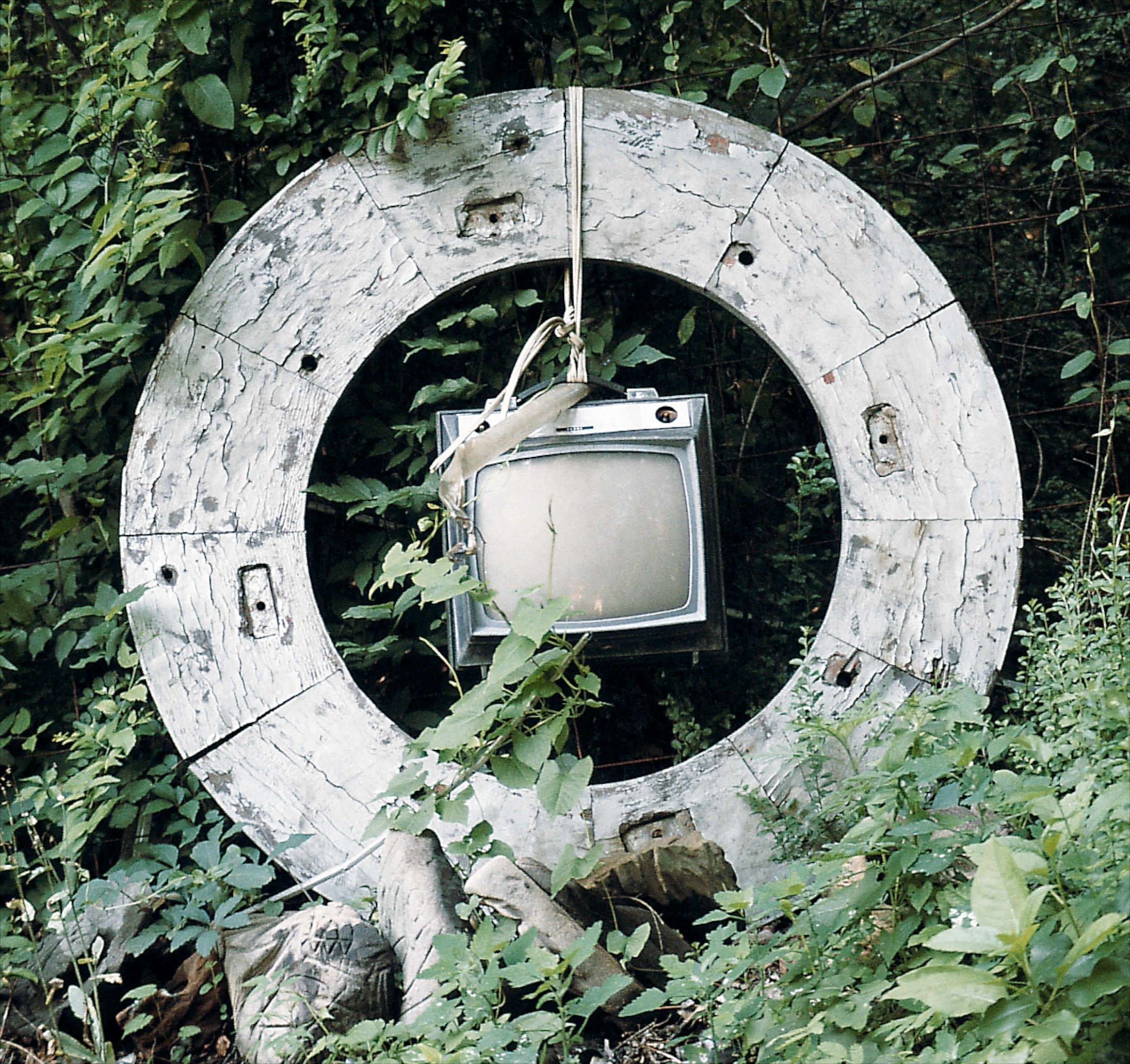 LH - Dish of the Receiver - Master Image