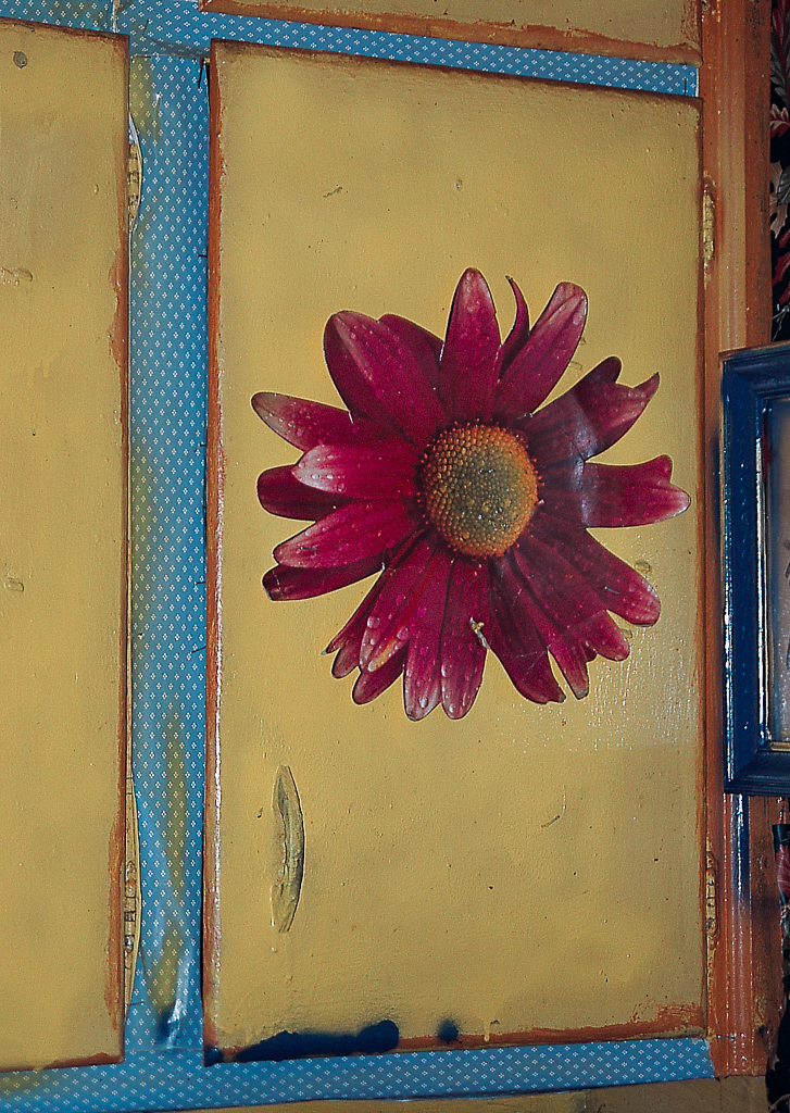 BA - Découpaged kitchen-cabinet door - Master Image