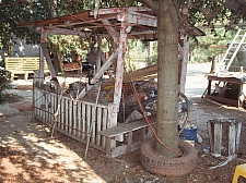 OG - Shed and tree outside office - Master Image