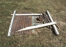 DY - Armadillo grave - Master Image