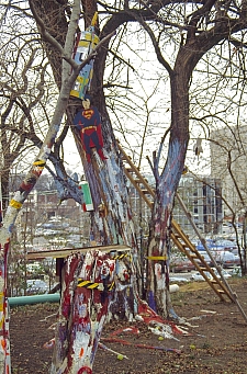CW - Tree in yard