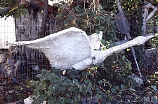 EMB Untitled sculpture in yard