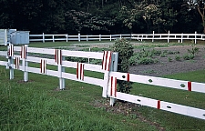 JAr - Fence decorations - Master Image