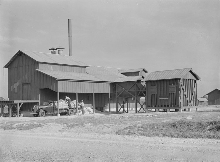 Cooperative cotton gin and storehouse. Cooperative cotton gin and storehouse.