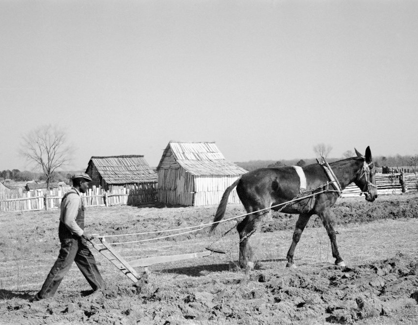 Plowing at Gee’s Bend Plowing at Gee’s Bend