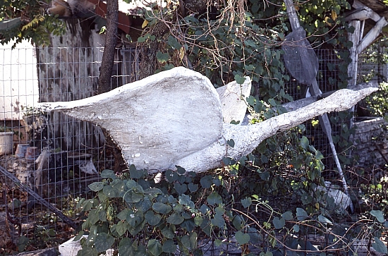 EMB Untitled sculpture in yard