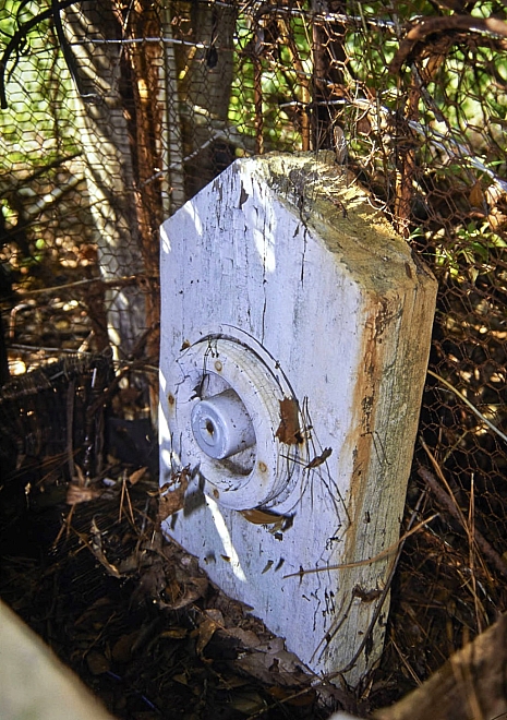 Ella Riley's grave