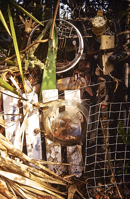 Ella Riley's grave