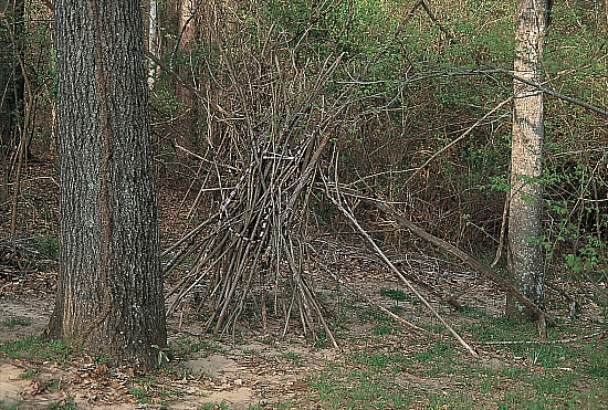 ES - Arrangement of lashed sticks - Master Image